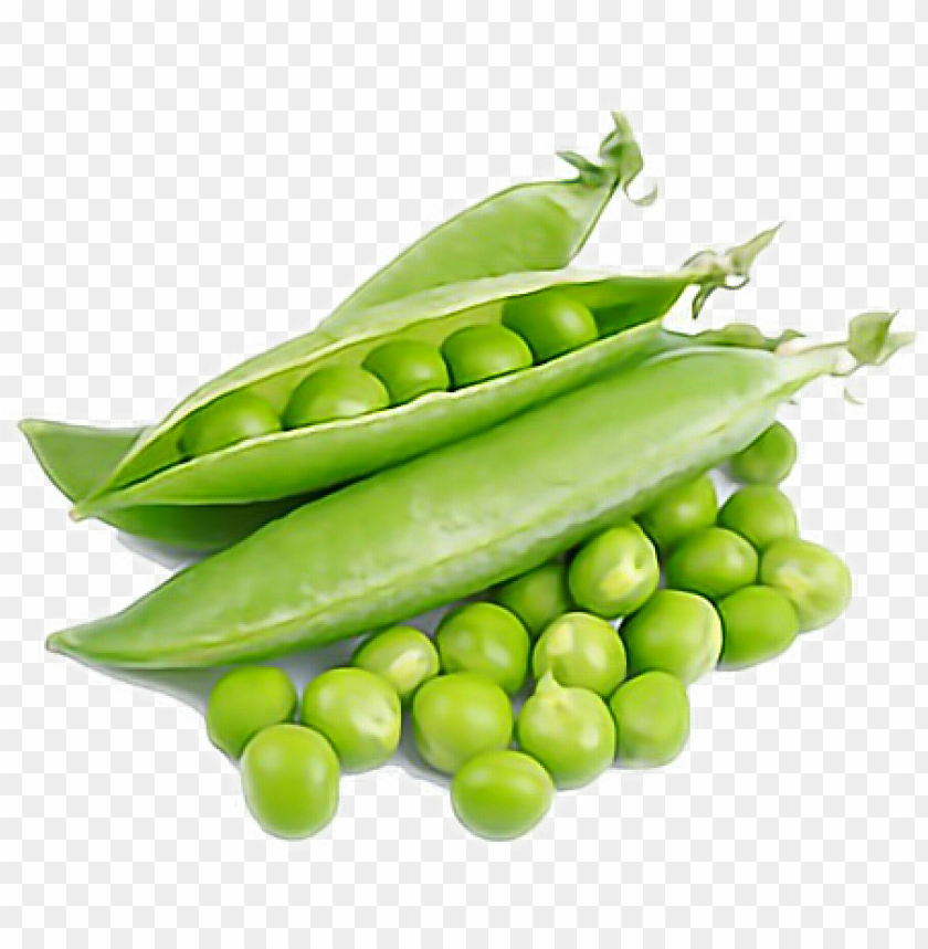 Detail Peas Transparent Nomer 6
