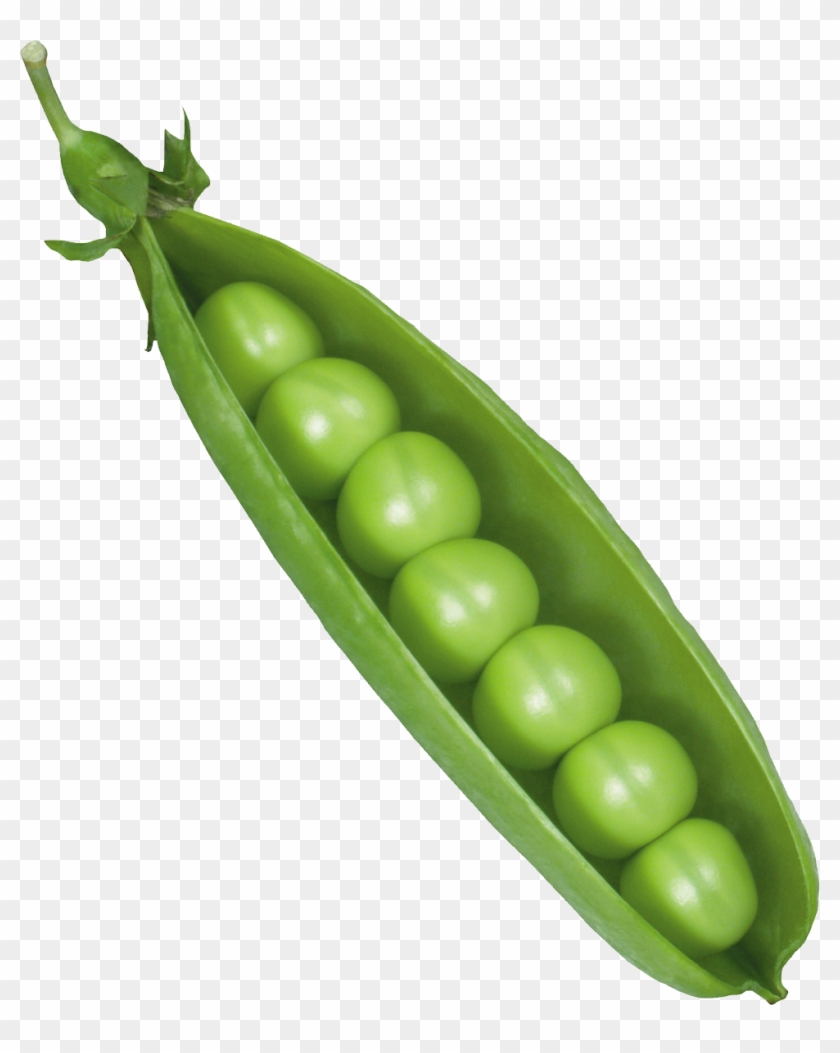 Detail Peas Transparent Nomer 8