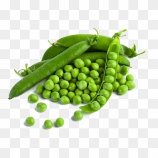 Detail Peas Transparent Nomer 9