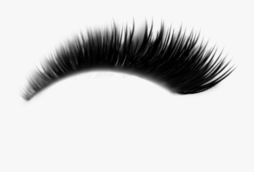 Detail Long Lashes Png Nomer 21