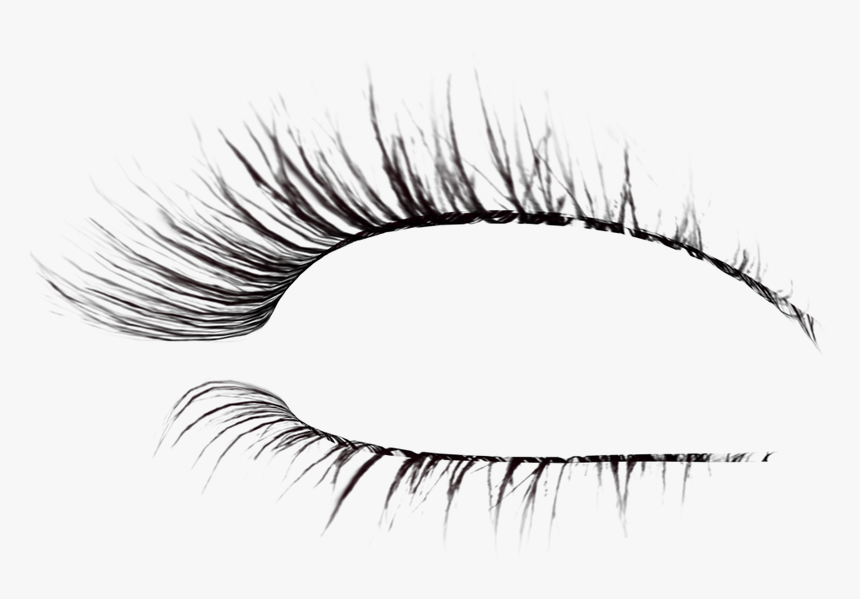 Detail Long Lashes Png Nomer 27