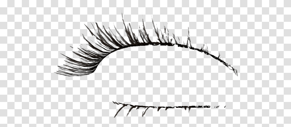 Detail Long Lashes Png Nomer 41