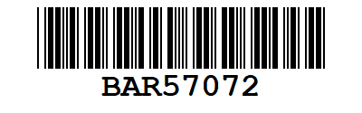 Detail Long Skinny Barcode Nomer 17