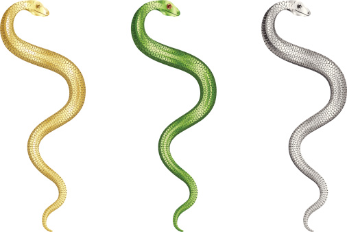 Detail Long Snake Clipart Nomer 38