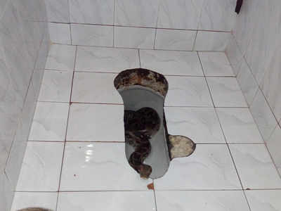 Detail Loo Pics Nomer 11