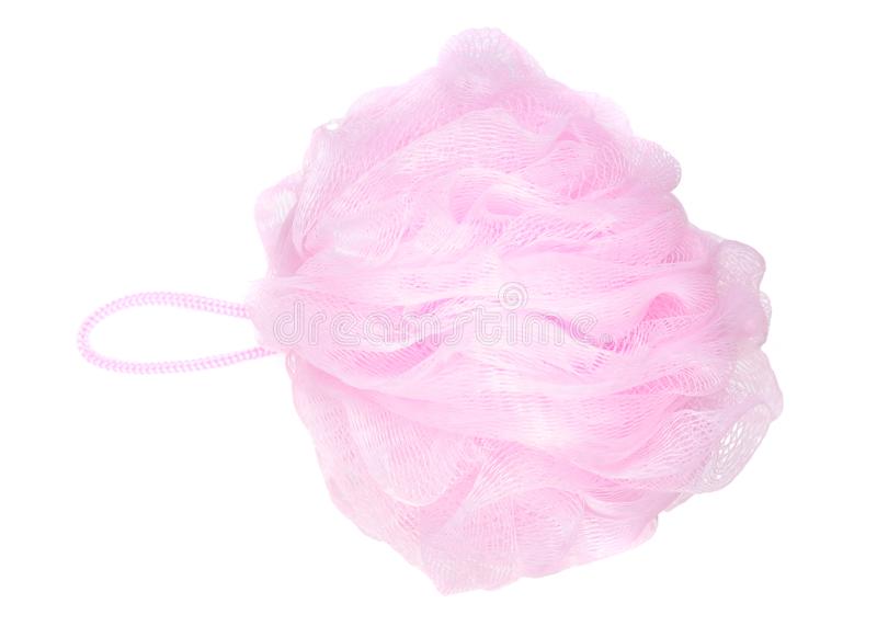 Detail Loofah Png Nomer 24