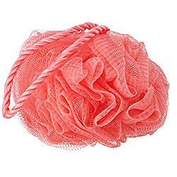 Detail Loofah Png Nomer 46