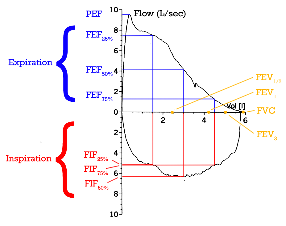 Detail Loop Png Nomer 46