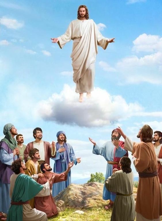 Download Lord Jesus Pictures Nomer 29