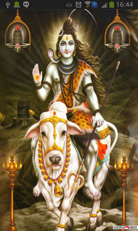 Detail Lord Shiva Image Download Nomer 4