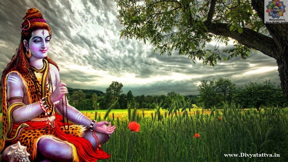 Detail Lord Shiva Image Download Nomer 46