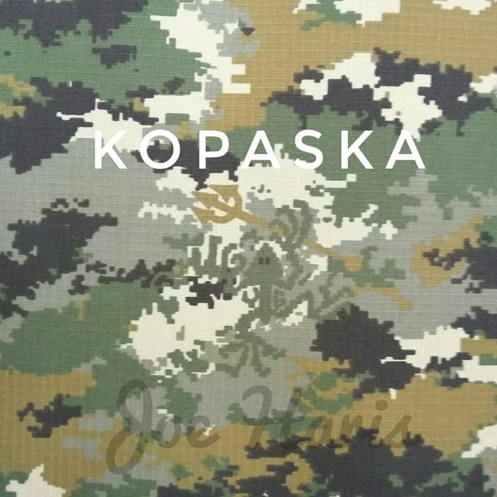 Detail Loreng Background Nomer 29