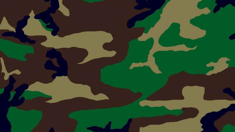 Detail Loreng Background Nomer 44