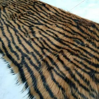 Detail Loreng Harimau Nomer 29