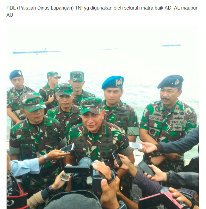 Detail Loreng Tni Al Nomer 24