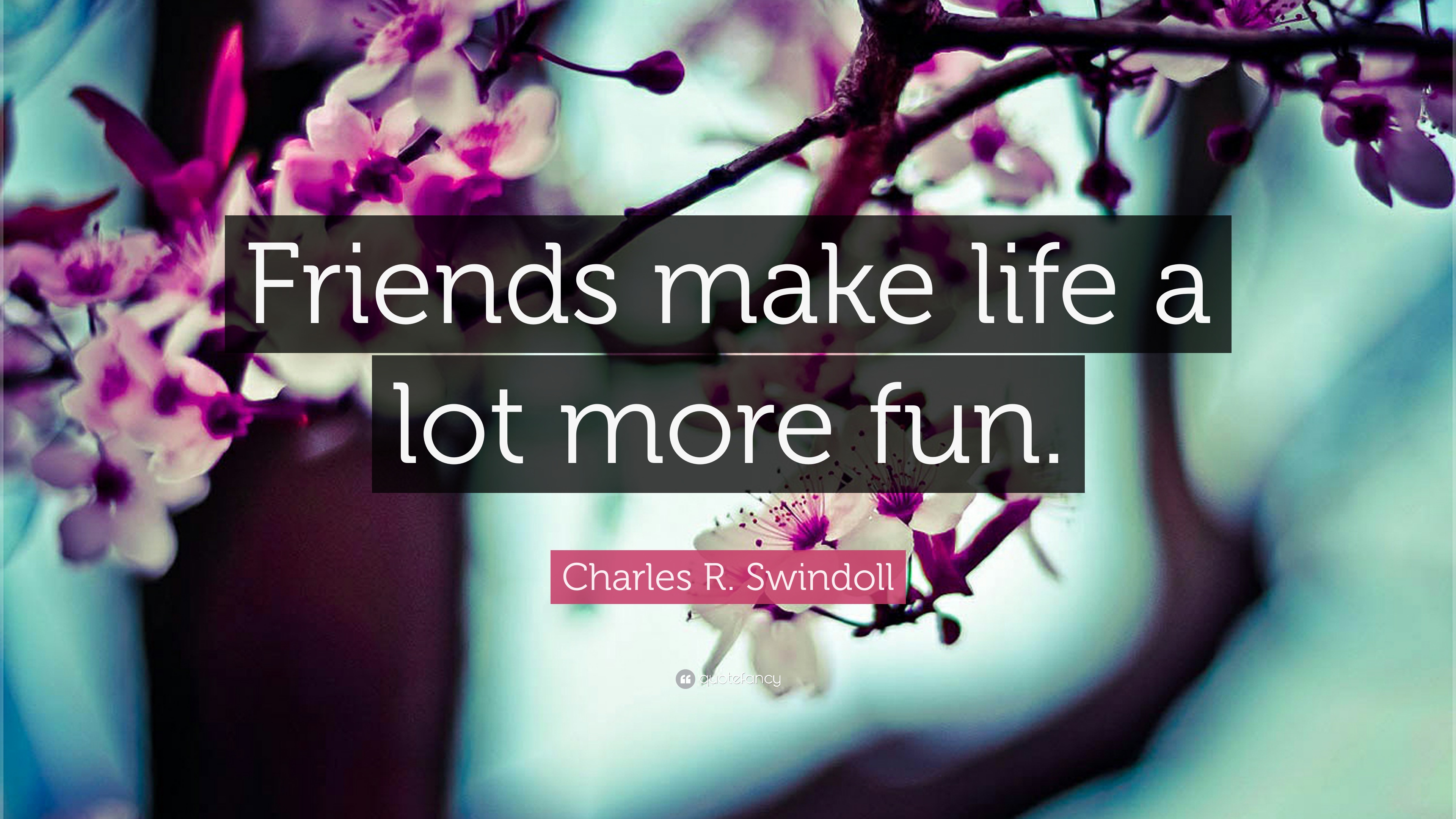 Detail Lots Of Fun With Friends Quotes Nomer 11