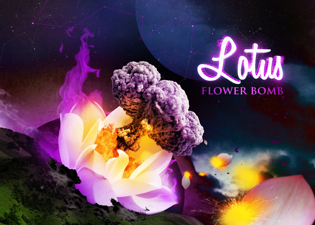 Detail Lotus Flower Bomb Wale Nomer 28