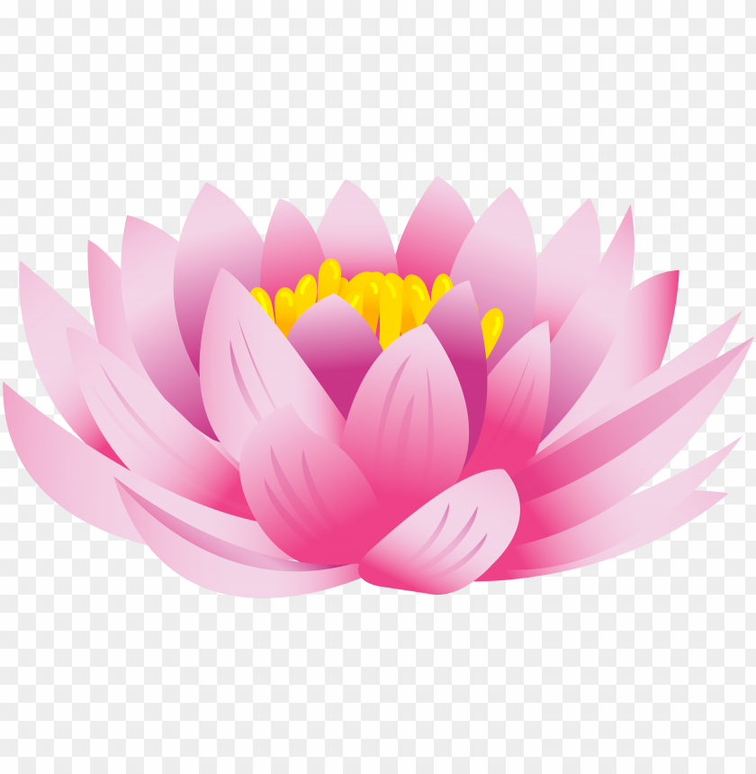 Lotus Flower Graphic Png - KibrisPDR