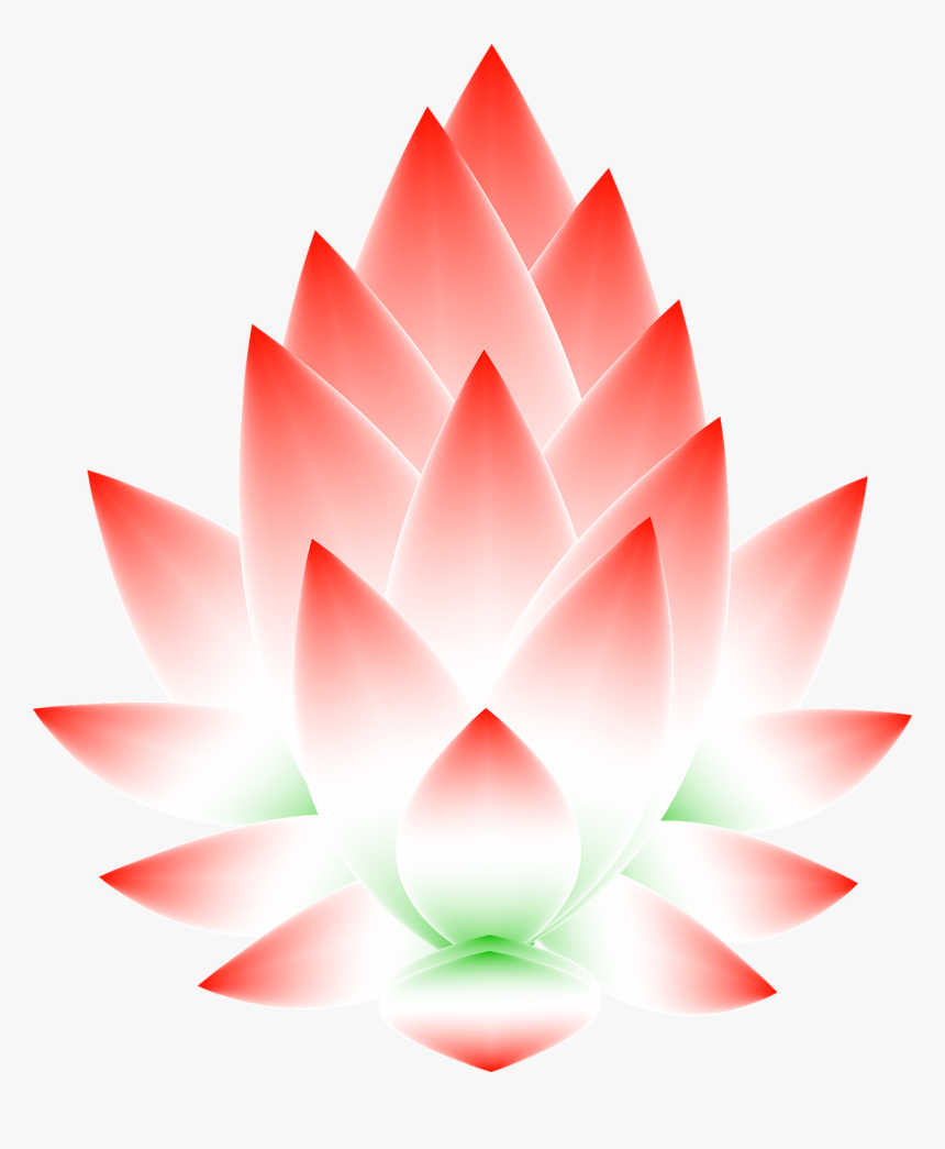 Download Lotus Flower Graphic Png Nomer 11