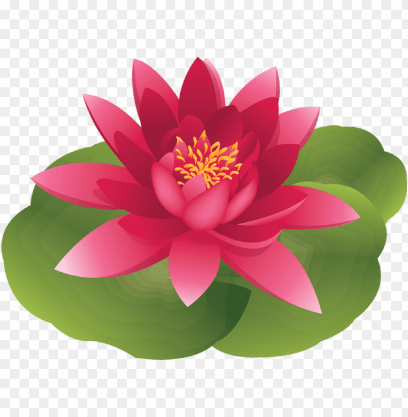Detail Lotus Flower Graphic Png Nomer 24