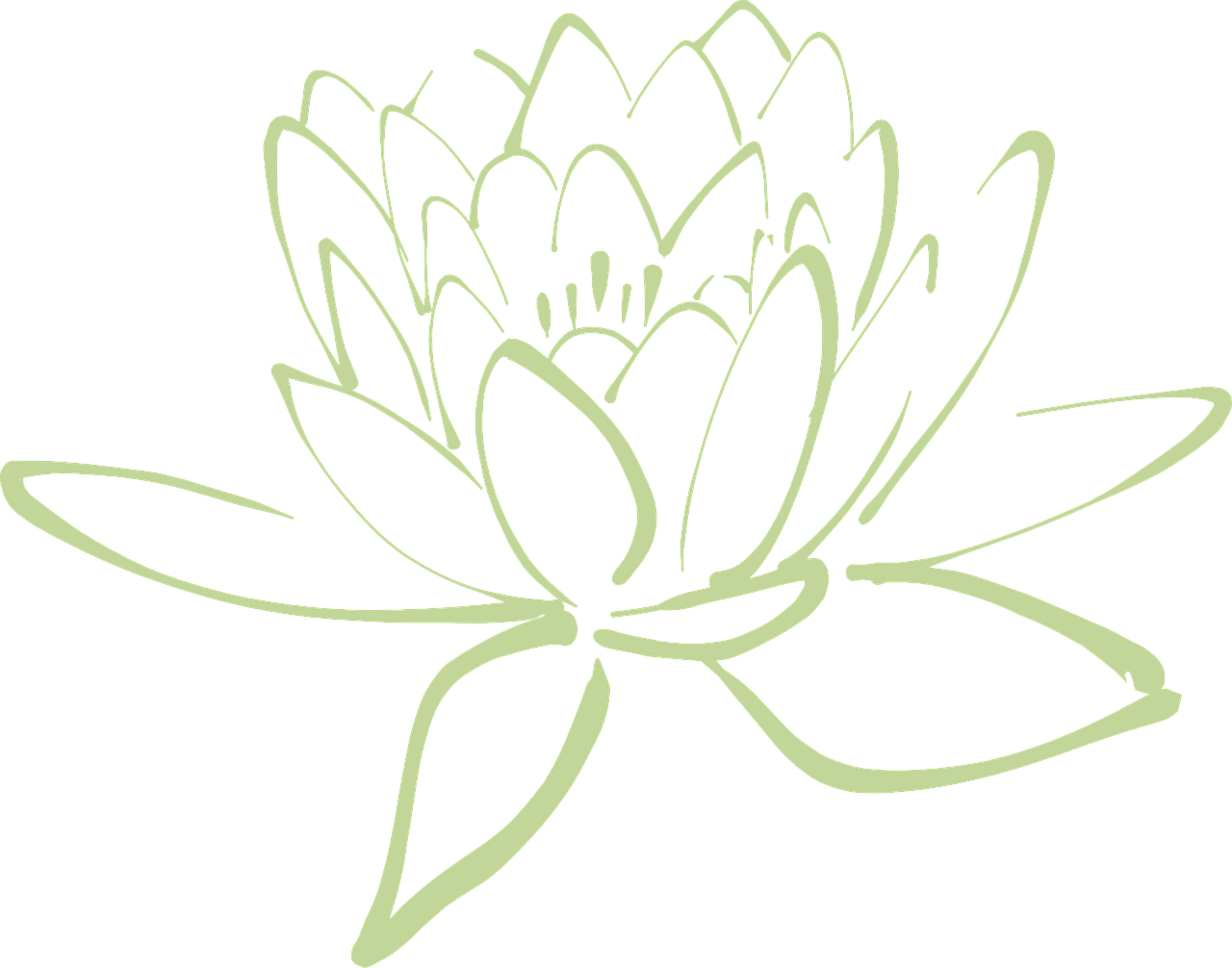 Detail Lotus Flower Graphic Png Nomer 28