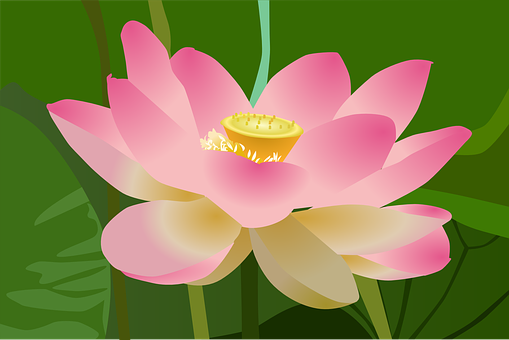 Detail Lotus Flower Graphic Png Nomer 32