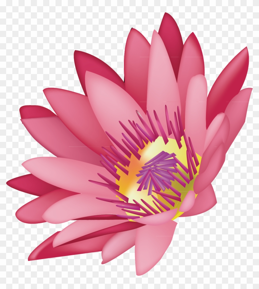 Detail Lotus Flower Graphic Png Nomer 36