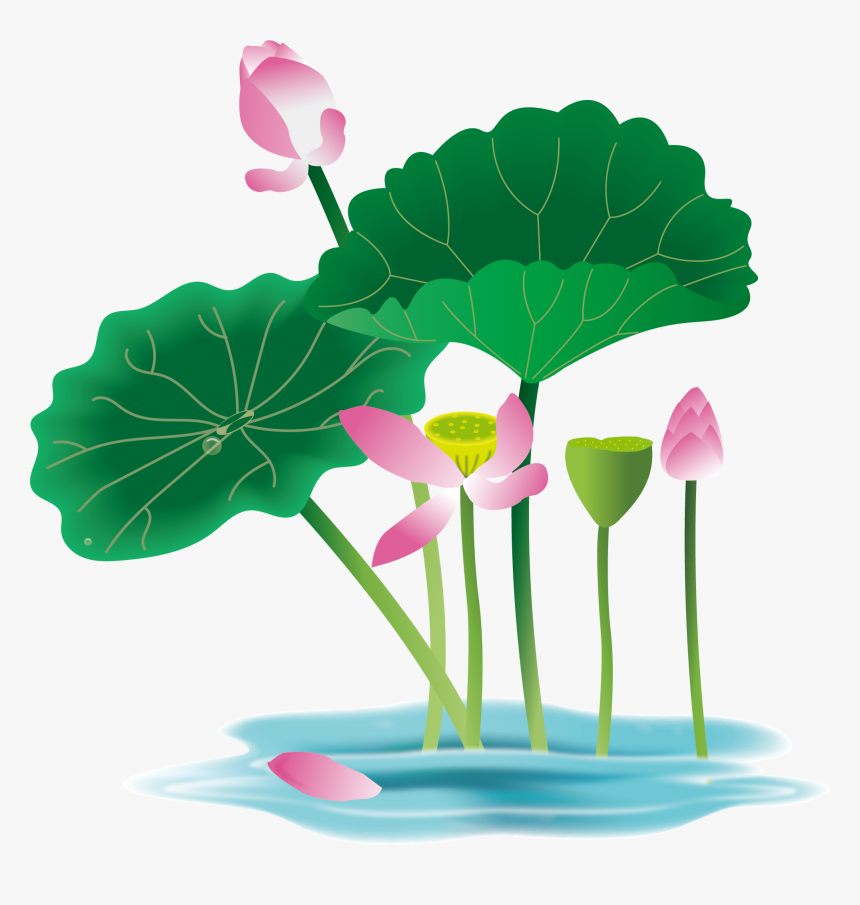 Detail Lotus Flower Graphic Png Nomer 42