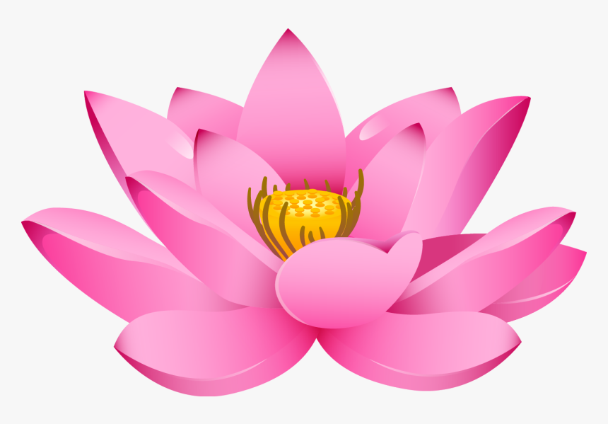 Detail Lotus Flower Hd Nomer 44
