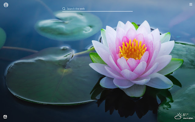 Detail Lotus Flower Hd Nomer 7