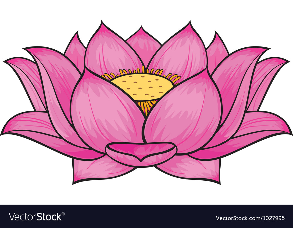 Detail Lotus Flower Images Nomer 18