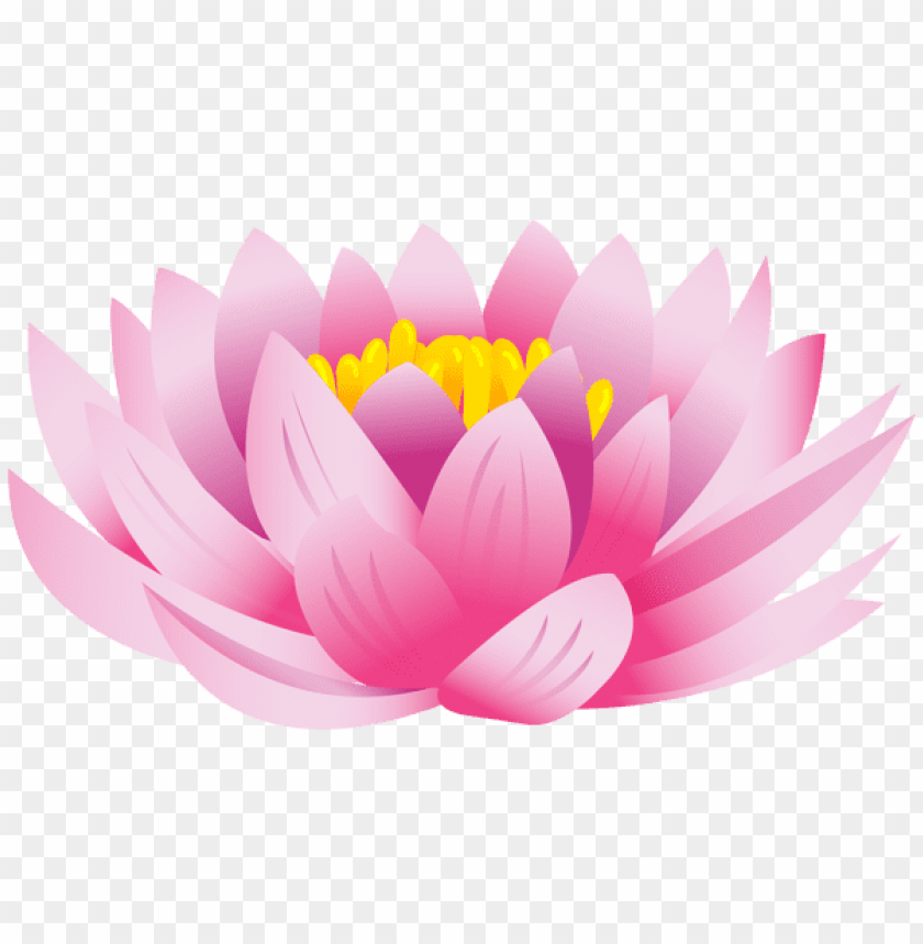 Detail Lotus Flower Images Download Nomer 31