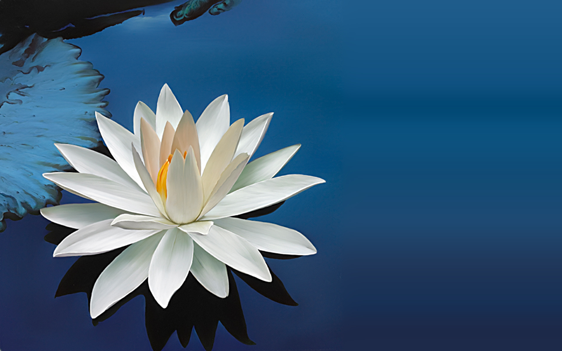 Detail Lotus Flower Images Free Nomer 19