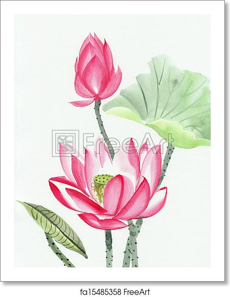 Detail Lotus Flower Images Free Nomer 55