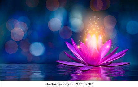 Detail Lotus Flower Images Hd Nomer 30