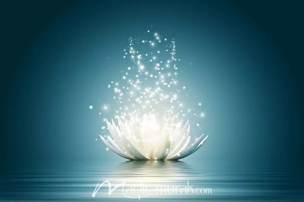Detail Lotus Flower Pic Nomer 24