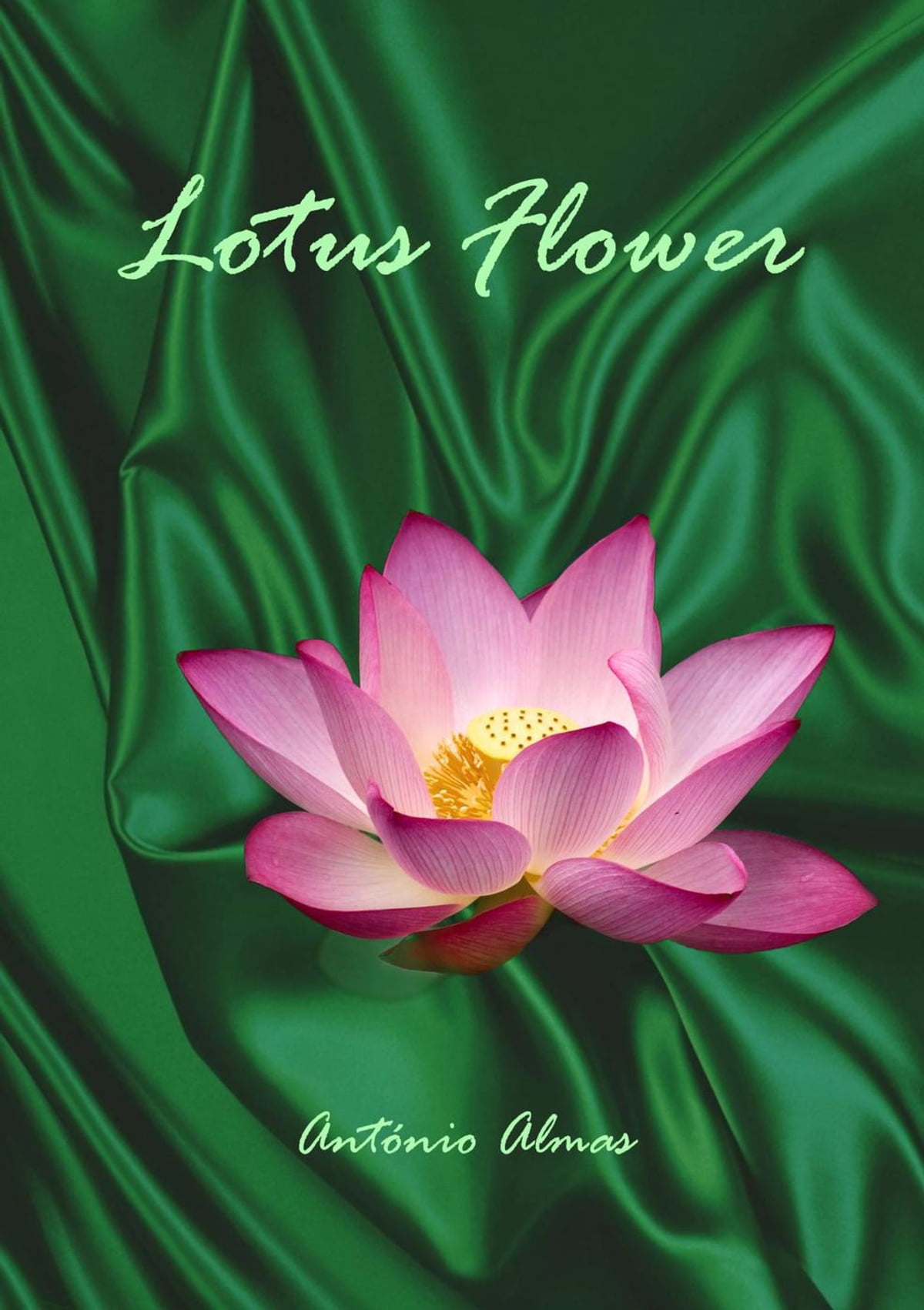 Detail Lotus Flower Pics Nomer 41