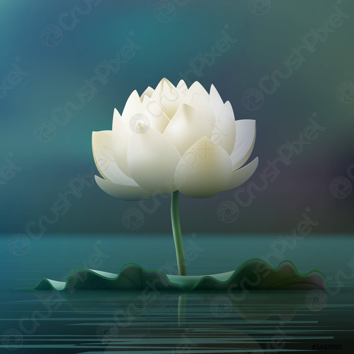 Detail Lotus Flower Pics Nomer 53