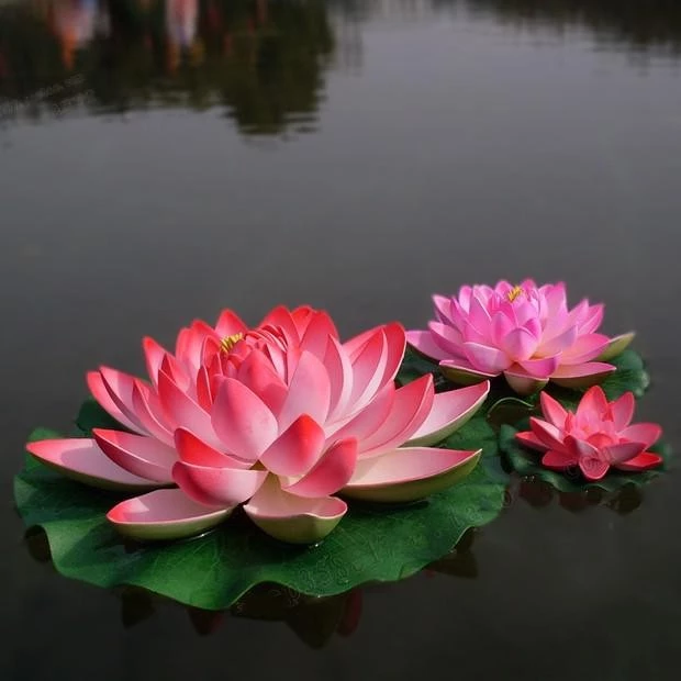Detail Lotus Flower Size Nomer 11