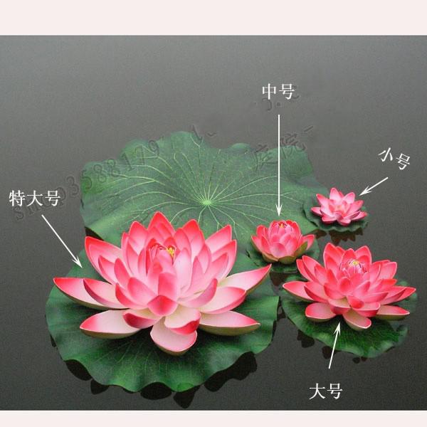 Detail Lotus Flower Size Nomer 15