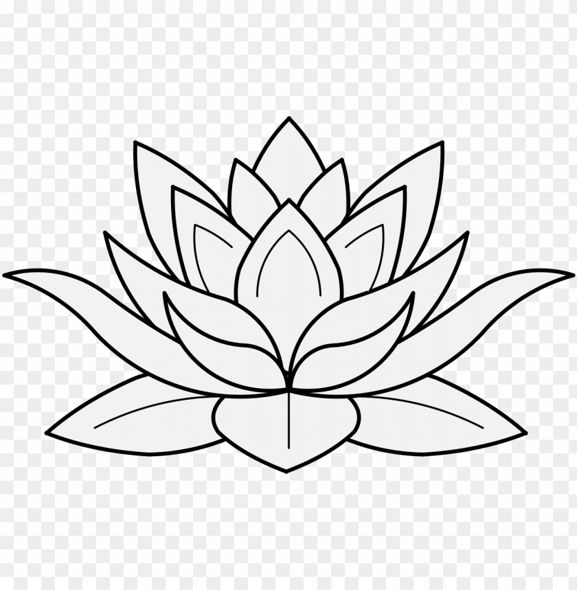Detail Lotus Flower Transparent Nomer 41
