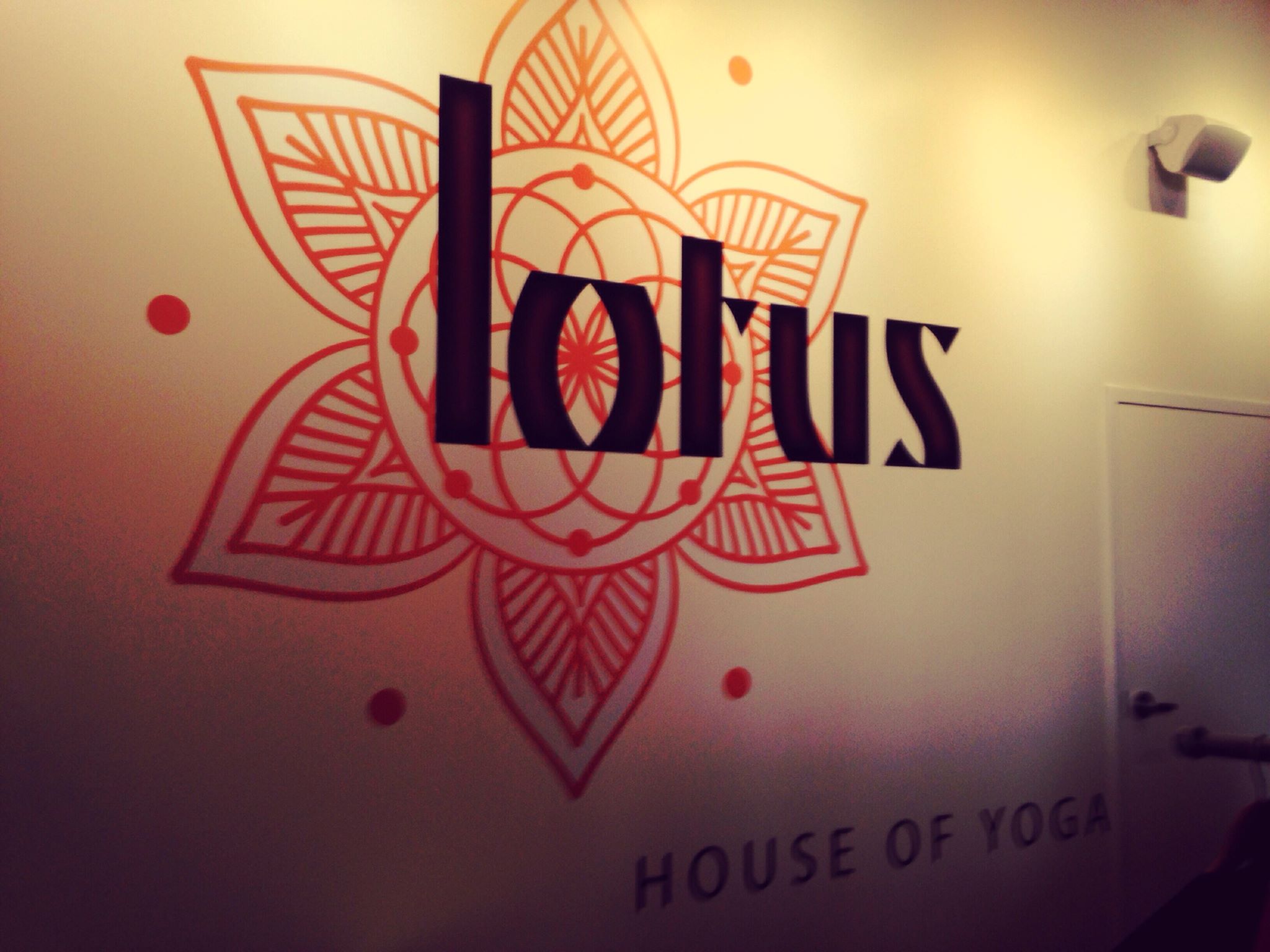 Detail Lotus House Of Yoga Lincoln Ne Nomer 15