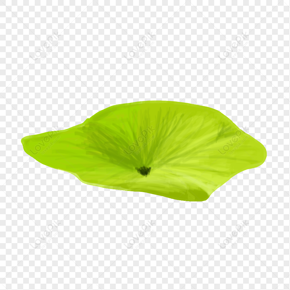 Detail Lotus Leaf Png Nomer 26