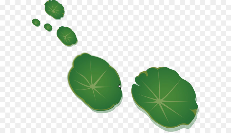 Detail Lotus Leaf Png Nomer 32