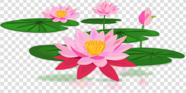 Detail Lotus Png Nomer 43