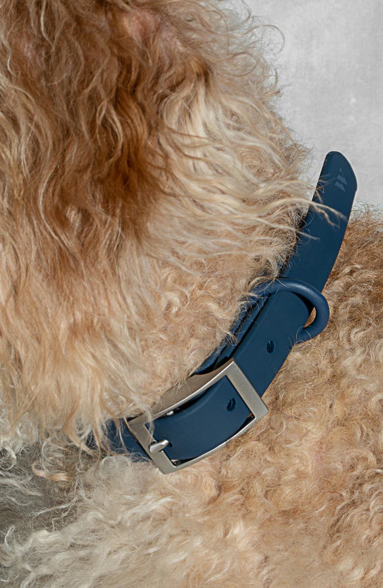 Detail Louboutin Dog Collar Nomer 24