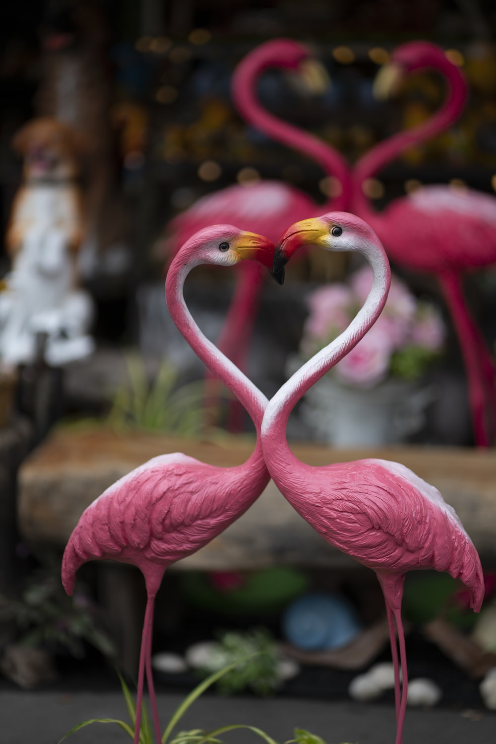 Detail Love Bird Gambar Nomer 53