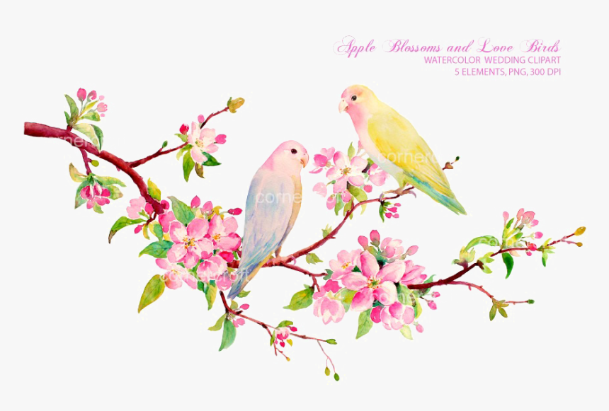 Detail Love Bird Png Nomer 18