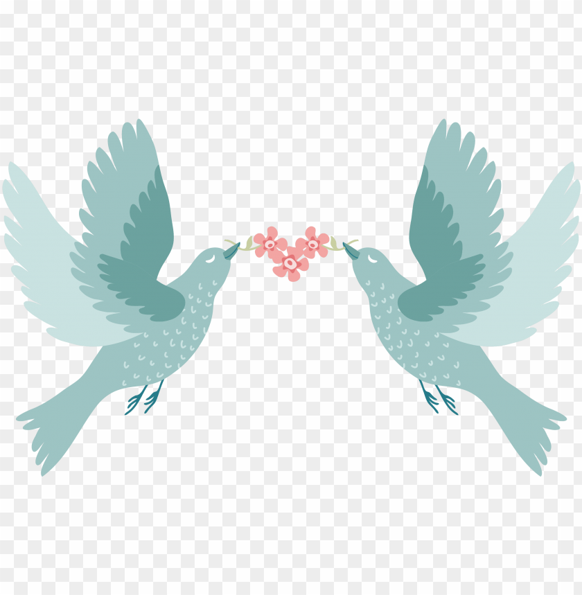 Detail Love Bird Png Nomer 39