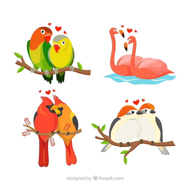 Detail Love Bird Vector Nomer 22